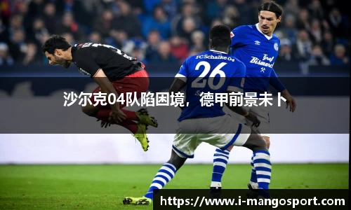 芒果体育平台